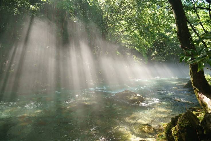 как ощущается жизнь, когда нёс полнейшую чепуху, но все равно сдал экзамен за счёт харизмы: