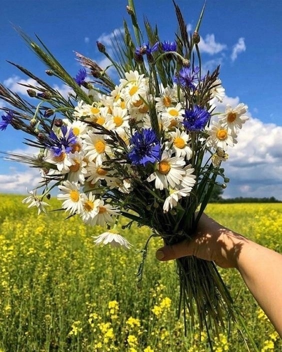 ничего не оставляй «для особого случая», твоя жизнь и е...
