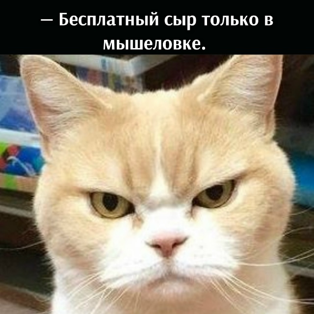 😂