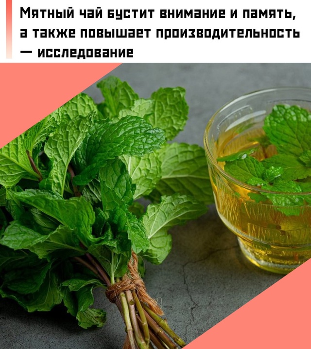 ☝ Мята способствует улучшению кровообращения, что уск...