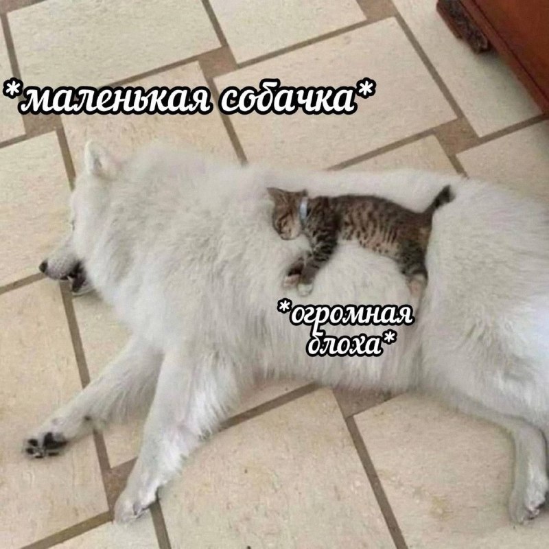 Утренняя подборочка