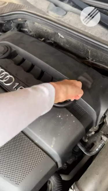 Как вам такой автомеханик?