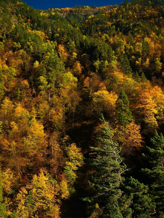 Осень в горах Дагестана 🇷🇺