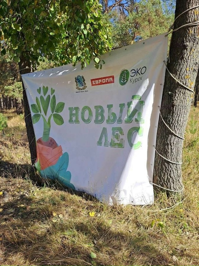 🌲Курские волонтеры посадили 