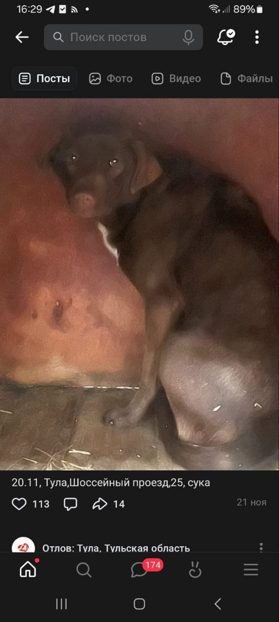 Обращаюсь ко всем не равнодушным. К нашему ЖК пробилас?...