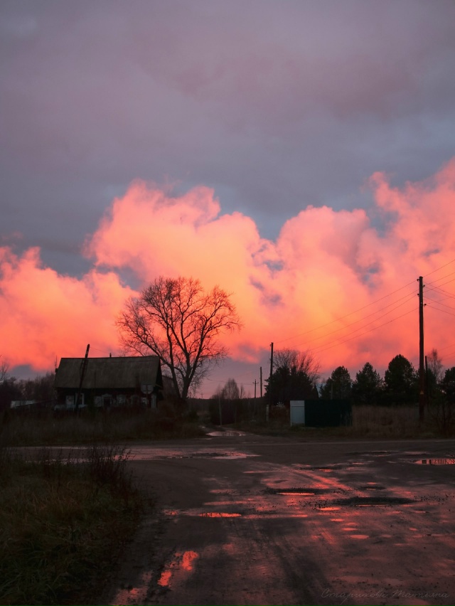Спокойной ночи 🌙
Фото: Татьяна Старикова