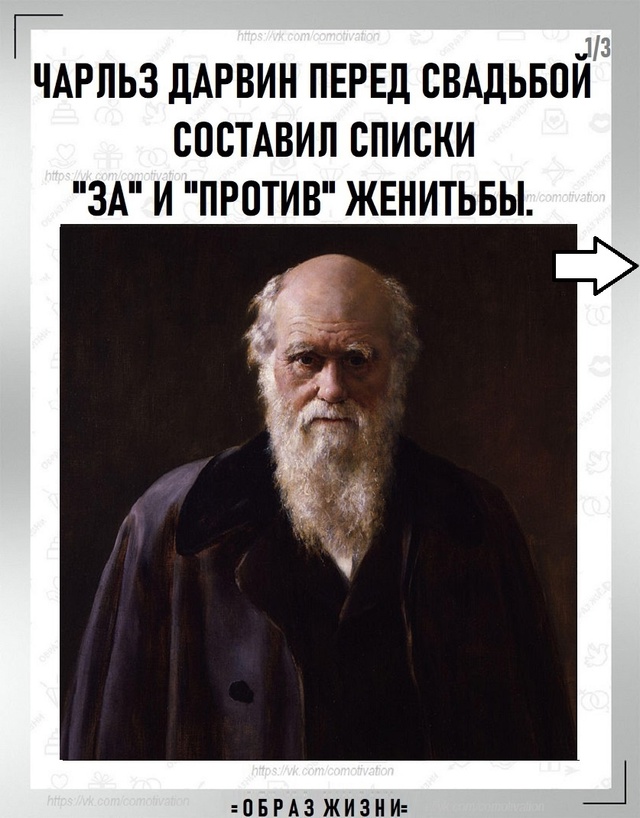 Действительно все рассчитал.
