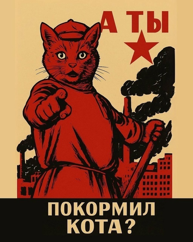 А кaкой плакат выбиpаeшь ты