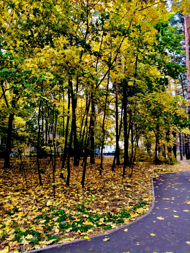 Осень в Протвино 🍁🍁🍁