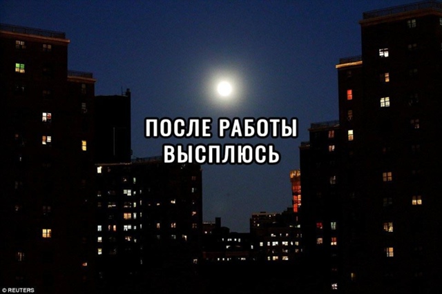 Так и до дурки недалеко😅
