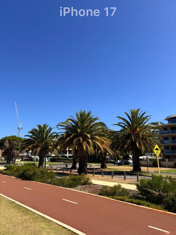📸 Какая лучше: в сети сравнили снимки с камер iPhone 7 и iPhone 17.
На первый взгляд разница не рад