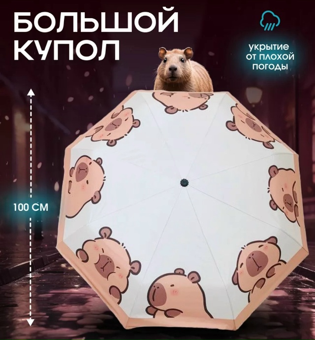 Добрый день, никто не находил такой зонт?