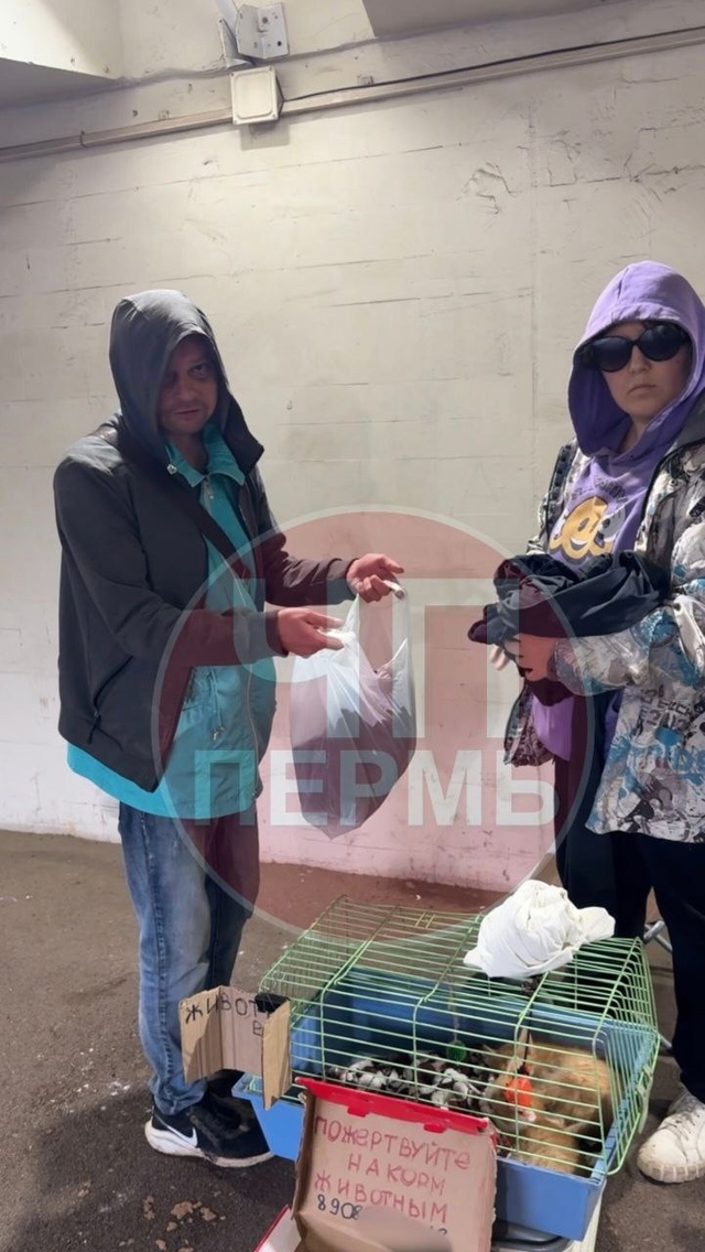 🔴В подземный переход у Гознака повадились «коробочни...