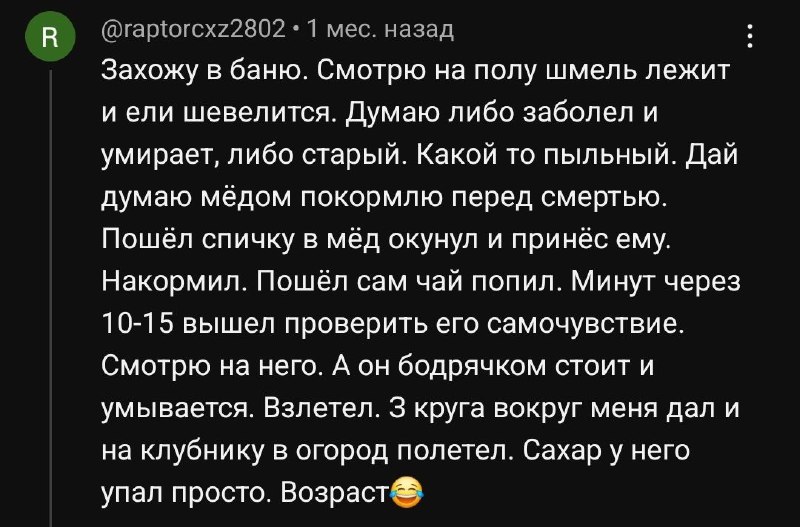 Вроде история про шмеля, а в подтексте узнается Филя!
Давненько от вас донатов не видно на monster.
