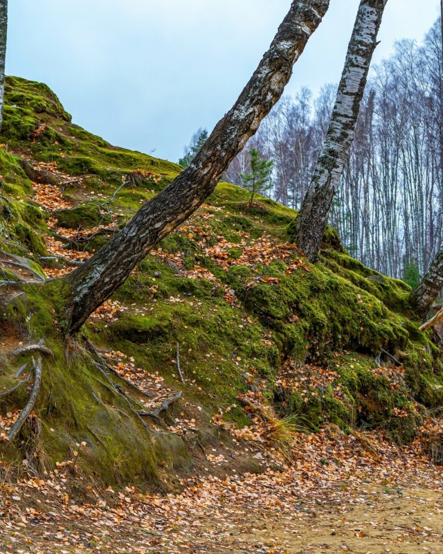 Красота осенней природы ❤ Рыбинский район, Селехово ?...