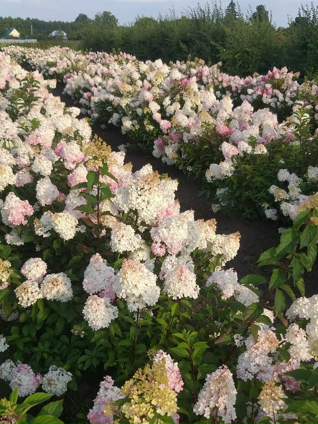 ‼️Отличная новость для садоводов г.Бузулук!
?? 1 Окт...