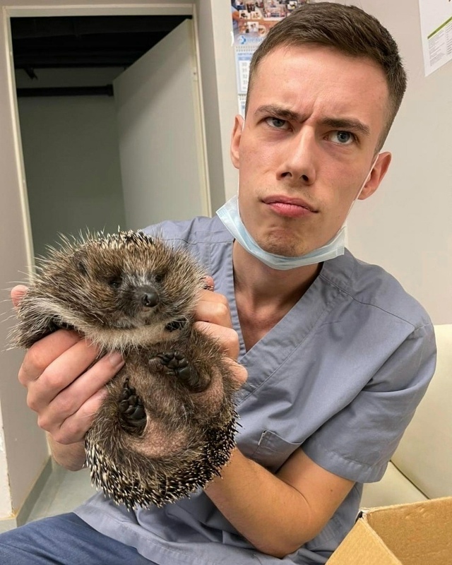 Ветеринарный врач из Петербурга Шевченко Матвей Олего...