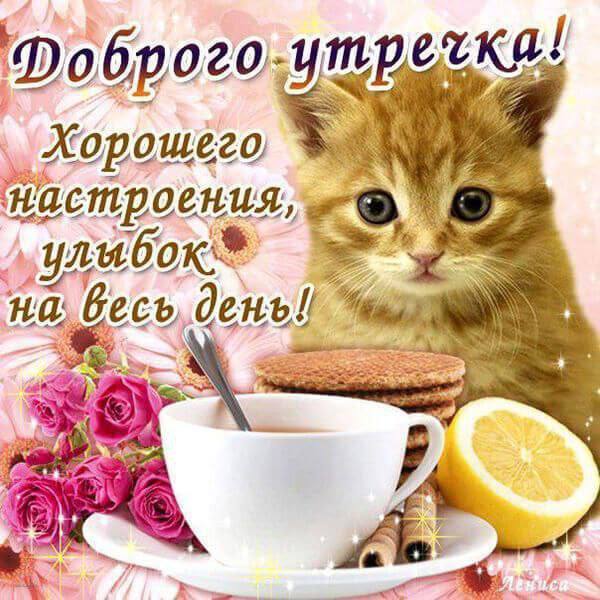 Утренняя подборочка