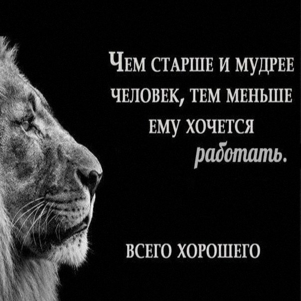 Утренняя подборочка