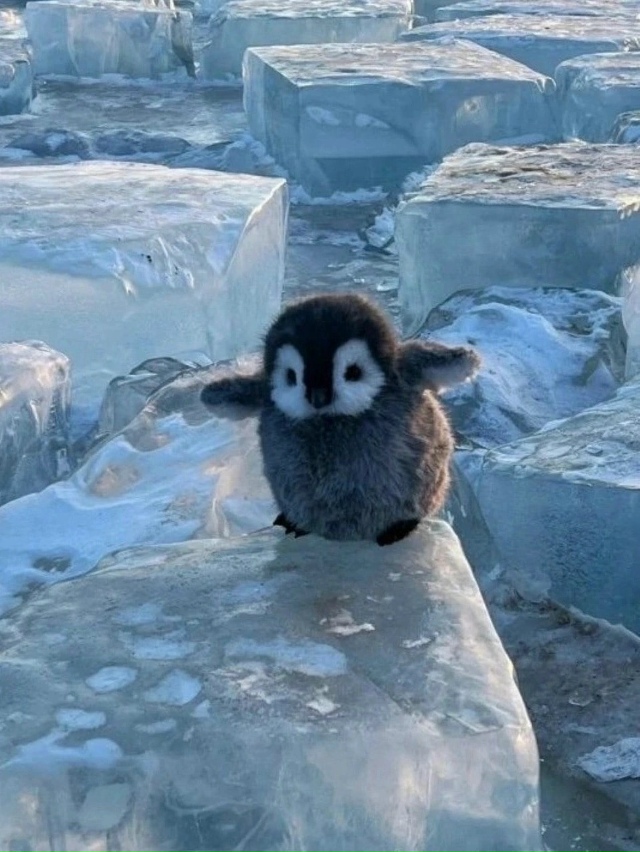 Доброе утро ☀️