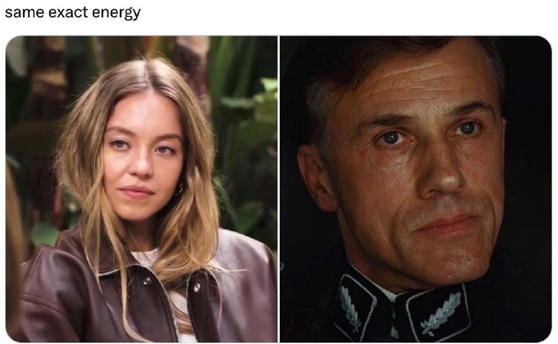 Жёстко набазовала полные штаны: Сидни Суини отказалась извиняться за рекламу American Jeans с шуткой