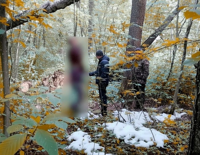 Под Новоуральком в пригородном лесу компания на питба?...