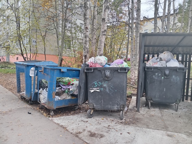 В начале лета на ул.Северной д.22 сделали контейнерную п...