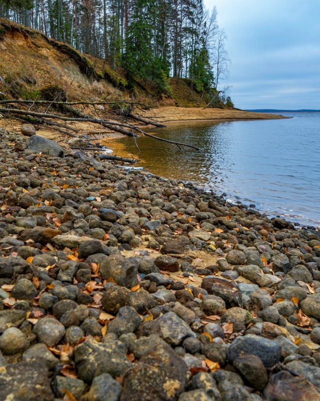 Красота осенней природы ❤ Рыбинский район, Селехово ?...