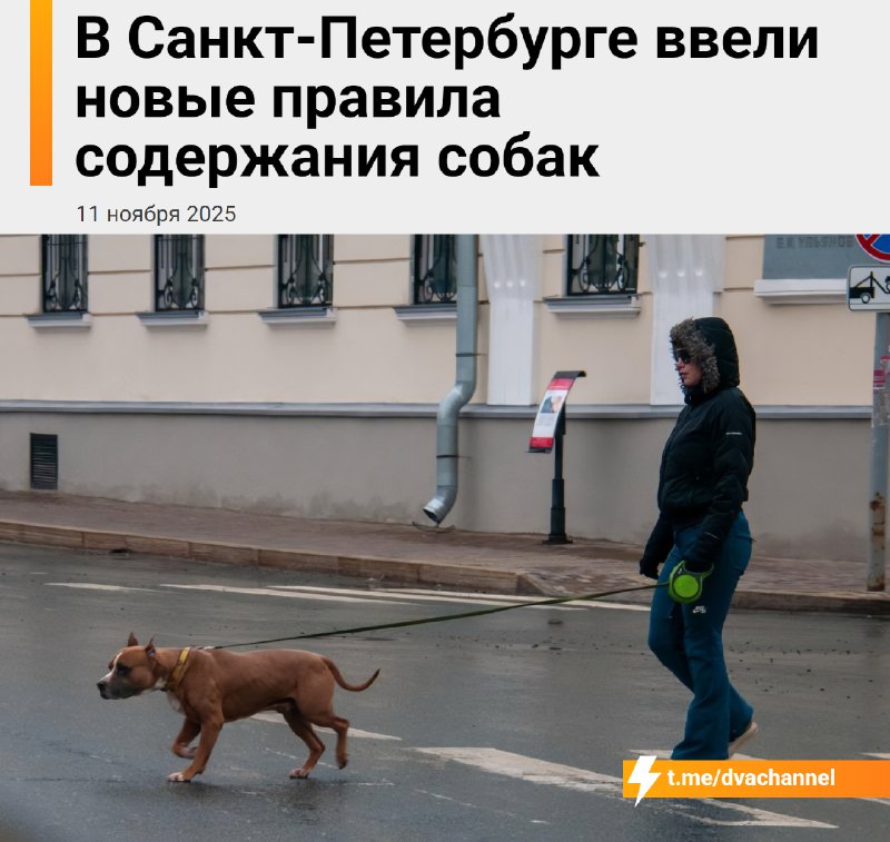 ❗️В Питере вводят новые правила для владельцев бась
Главное:
🟠Хозяева теперь обязаны убирать говно