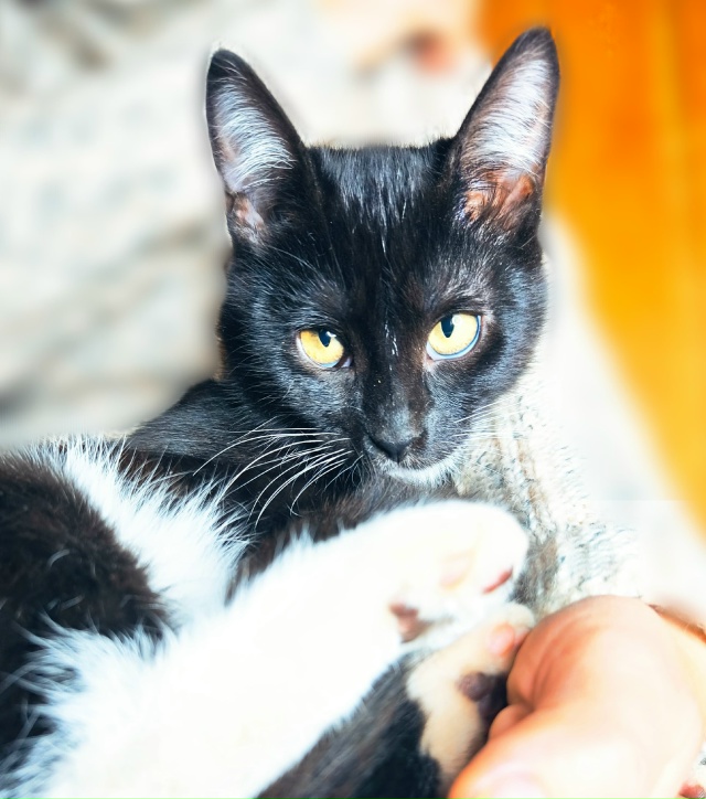 Сестрицы Милашка и Кнопочка, очаровательные девчонки ?...