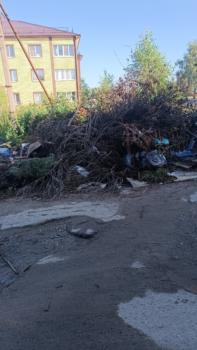 Призывной дом 17, такая помойка уже давно. Ужас какой.