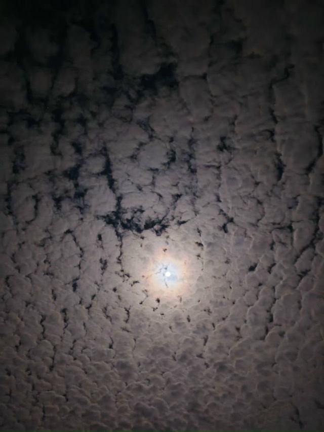 Небо этой ночью 🌕
От подписчика