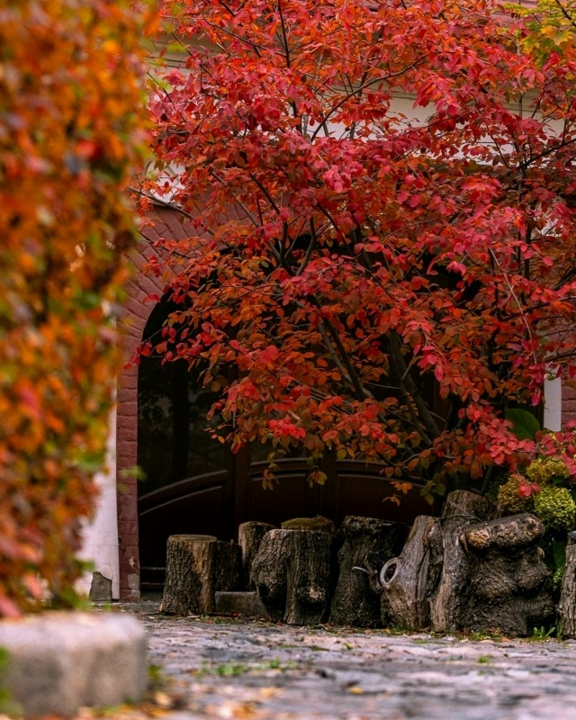 Осенняя Пречистенка 🍁.
Фото: tanushka_mar