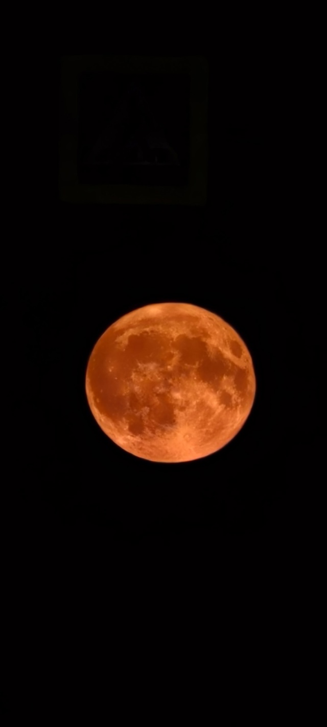 «Оленья Луна» взошла над Спутником 🌝