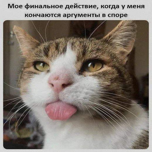 Ночная подборочка
Спать, режим