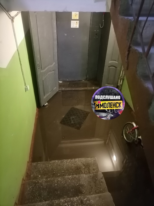 Добрый вечер. ул. Николаева, д. 32, каждый раз после дождя...
