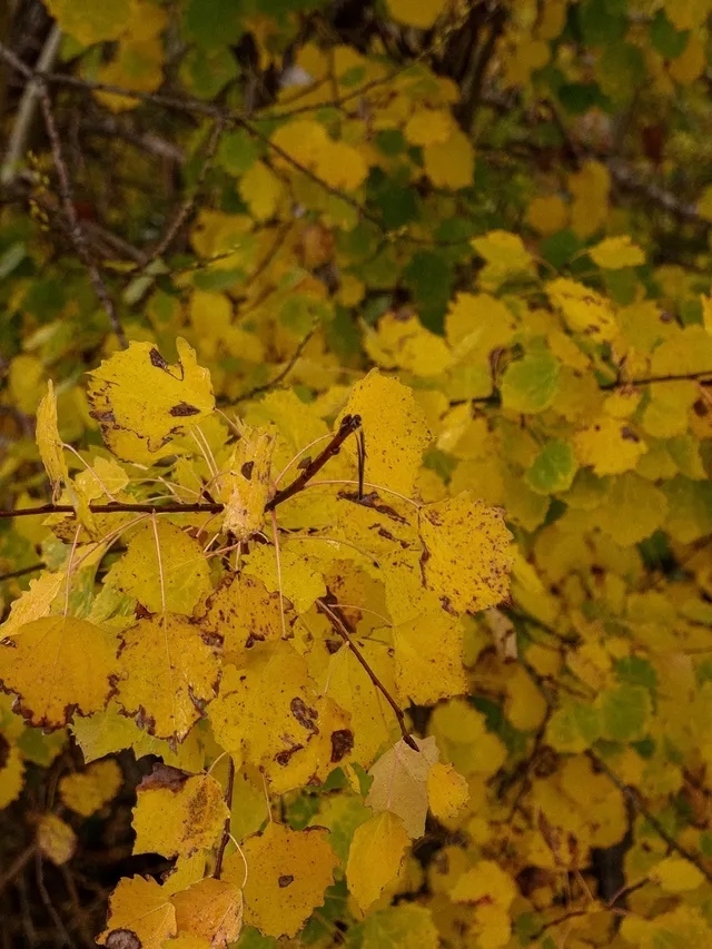 Красота осенней природы😍