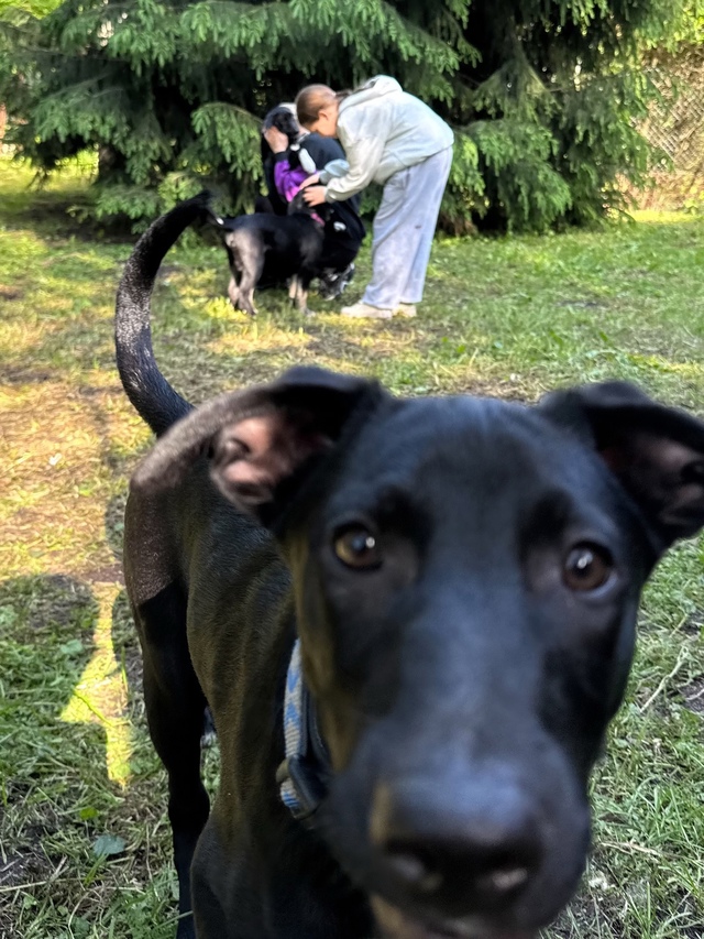 У Кристины Асмус пополнение в семье! 🐶
Недавно актрис...