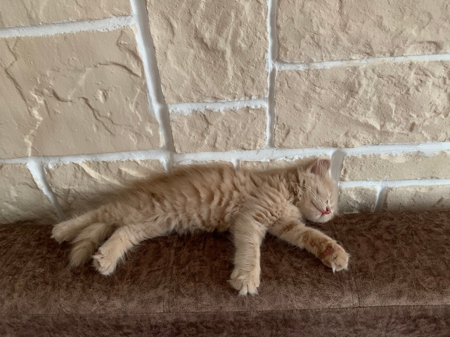 Моменты
Взросления Томасика