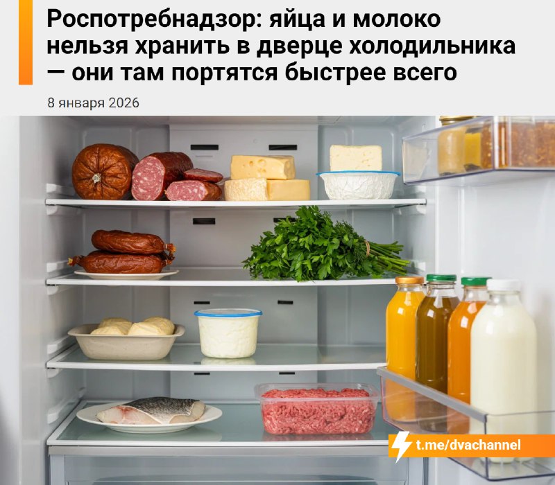 Яйца и молоко нельзя хранить в дверце холодильника, так как там они портятся быстрее всего, предупре