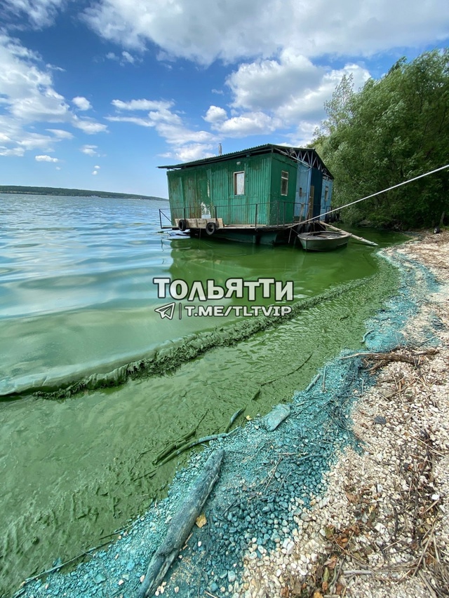 😳Цвет Волги на Усинском кургане в Самарской луке