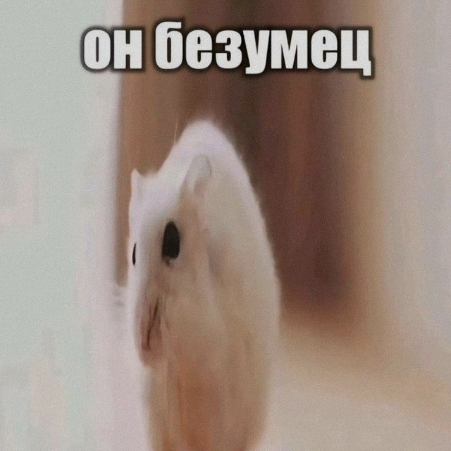 Ночная подборочка
Спать, режим