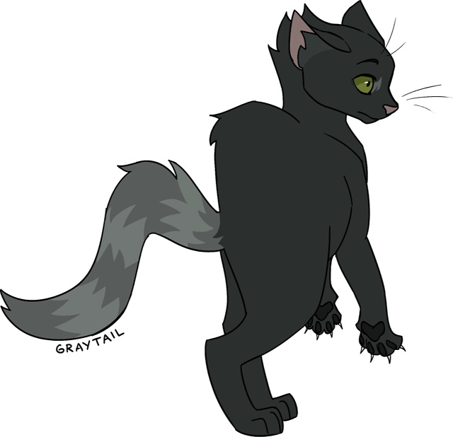 Graytail
© Nifty-Senpai
#KV_ZZ_ART