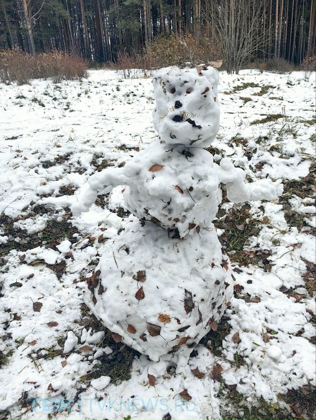 ☃️Парад снеговиков .
В эти дни снег такой липкий, поэ?...