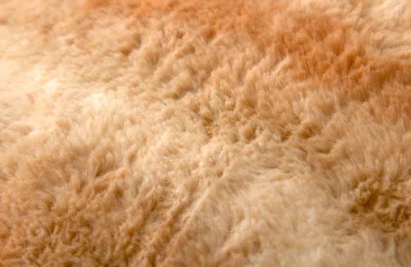 Японцы выкатили целую линейку постельного белья, которое косит под котиков
Компания Nissin делает с