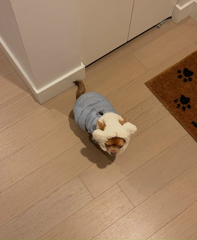 Ну каков красавчик, ну вы только посмотрите