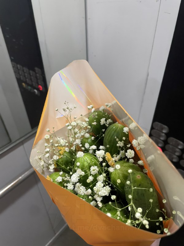 Парни начали дарить своим любимым настоящий «тяжёлый люкс» — огуречные букеты
Один романтик ради тя