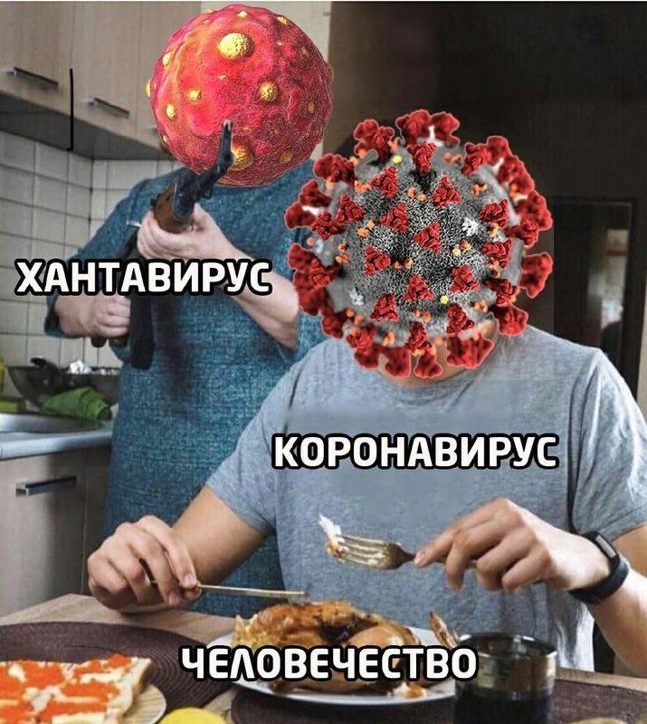 Смертность от хантавируса среди подростков 15–19 лет достигает 50%, выяснили бразильские учёные.
И