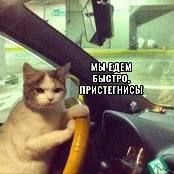 Поехали!