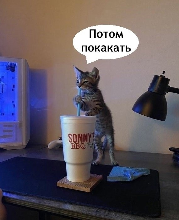 так и начинается утро